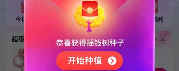 淘寶搖錢樹在哪里?淘寶搖錢樹位置詳情介紹!