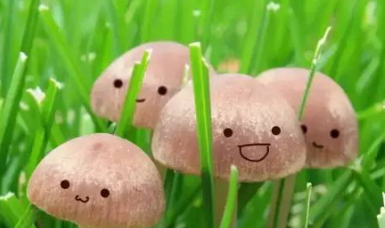 微信微粒貸怎么開通?小編教你玩轉微粒貸!