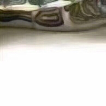 抖音上人頭烏龜身圖片六宮格拼圖怎么玩 人頭烏龜身圖分享