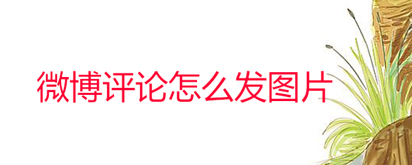 微博評論怎么發圖片_微博評論發圖片方法
