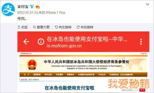 支付寶錦鯉是什么意思_支付寶錦鯉獎勵內容清單