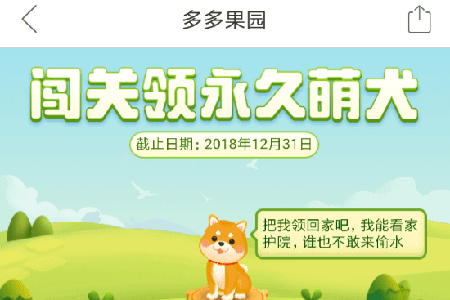 拼多多果園怎么養(yǎng)狗 果園養(yǎng)狗方法介紹