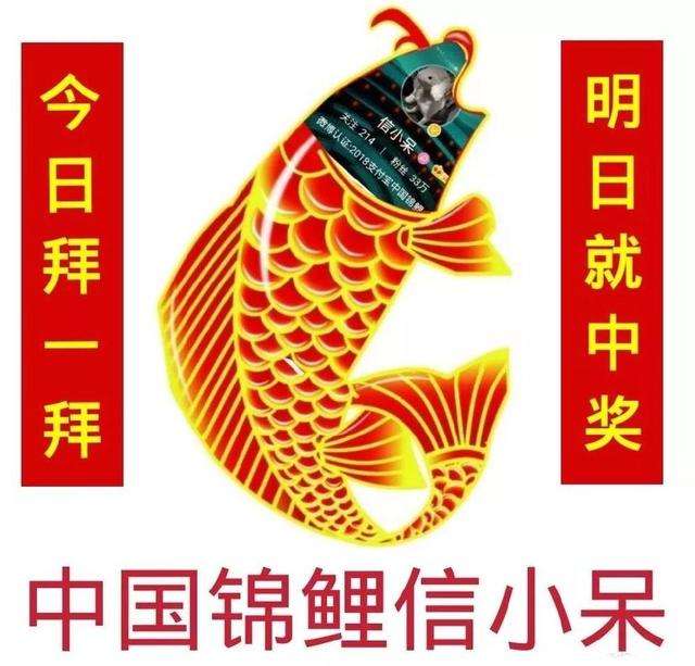 中國錦鯉2019年還有嗎？支付寶中國錦鯉2019年開獎詳情