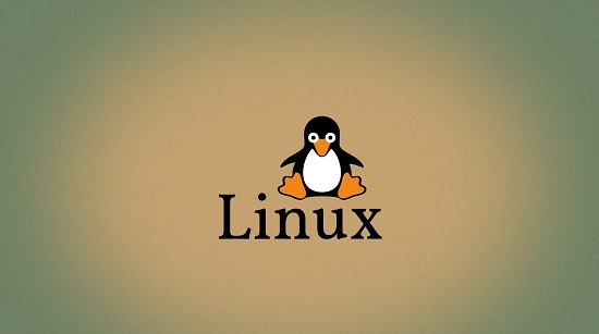 linux和windows的區別