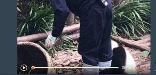 抖音歌詞mv怎么拍？添加歌詞方法推薦