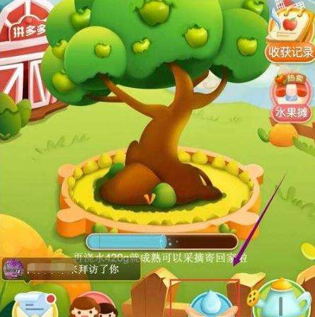 拼多多果樹有幾個階段？成長階段詳解