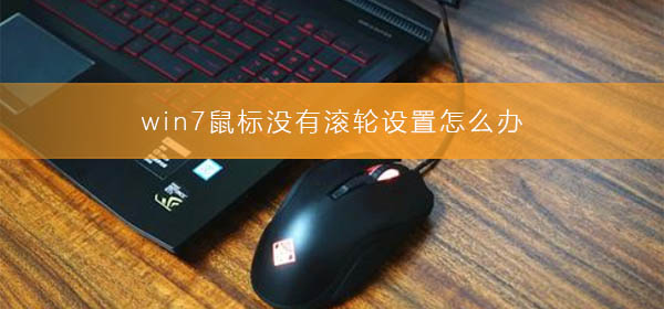 win7鼠標(biāo)沒有滾輪設(shè)置怎么辦
