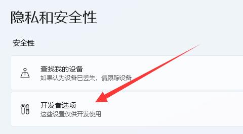 win11打開開發者模式教程