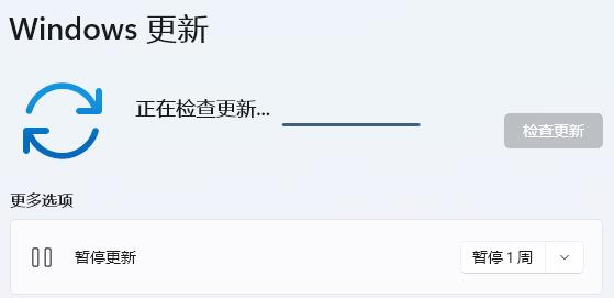 win11內(nèi)核出現(xiàn)問題詳細(xì)解決方法