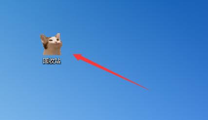 貓咪回收站不支持win11嗎