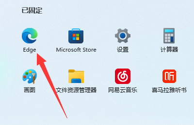 win11edge瀏覽器看視頻綠屏