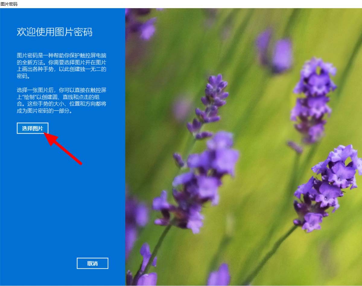 Windows11設(shè)置圖片密碼步驟介紹