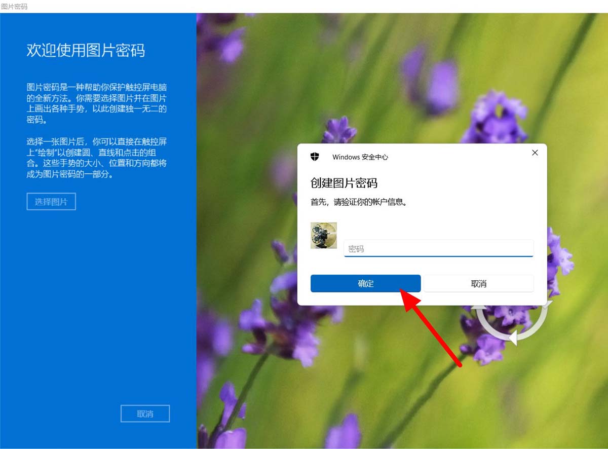 Windows11設(shè)置圖片密碼步驟介紹