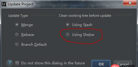java - idea git update project 里面的參數是什么意思