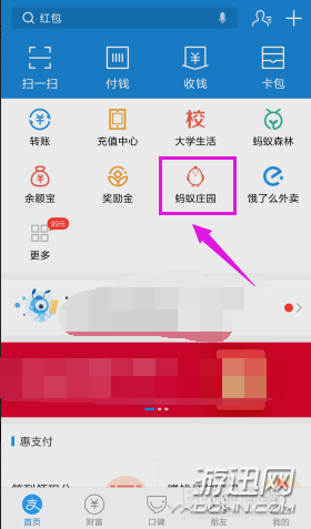 螞蟻莊園怎么揍偷吃的小雞?支付寶螞蟻莊園胖揍功能詳解