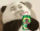 抖音熊貓人喝飲料GIF表情包分享_熊貓人喝飲料動(dòng)態(tài)表情大全