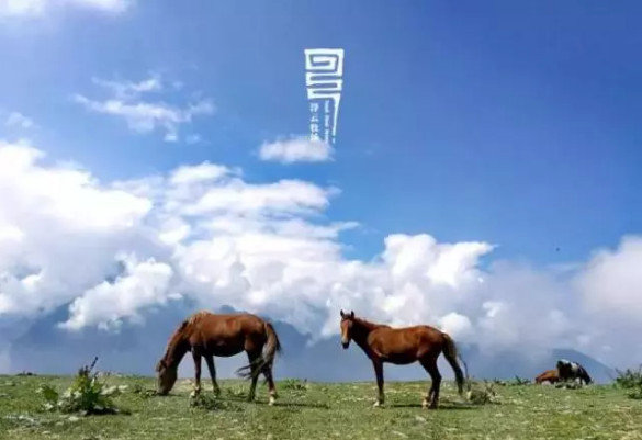 抖音網(wǎng)紅酒店有哪些_抖音上火爆的酒店分享