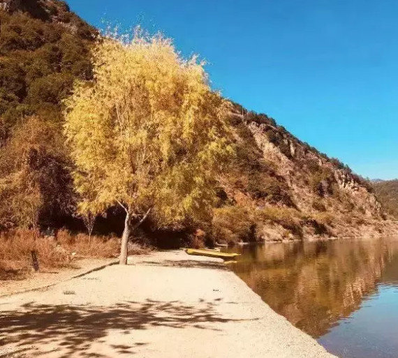 抖音網(wǎng)紅酒店有哪些_抖音上火爆的酒店分享