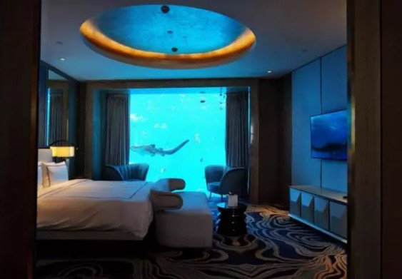 抖音網(wǎng)紅酒店有哪些_抖音上火爆的酒店分享