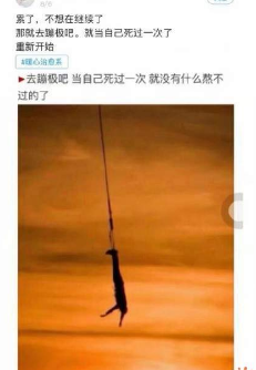 抖音長頸鹿上吊什么梗_長頸鹿上吊什么意思
