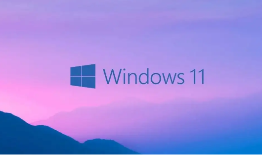 Vm虛擬機無法安裝Win11系統怎么辦?Vm虛擬機安裝Win11圖文教程