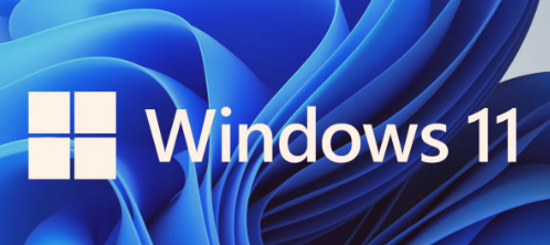 Win11 22H2無法更新怎么回事