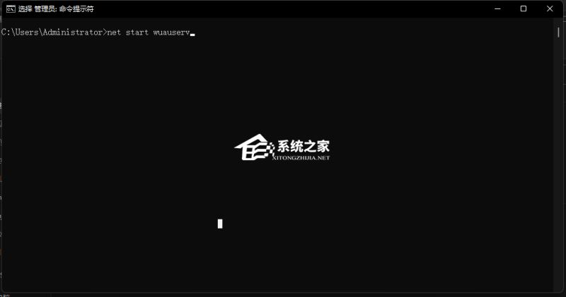 Win11 22H2無法更新怎么回事