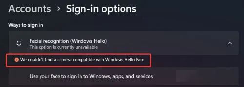 怎么開啟Win11面部識別功能