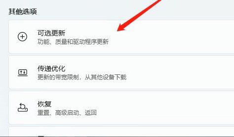 win11跳fatal error錯(cuò)誤怎么辦