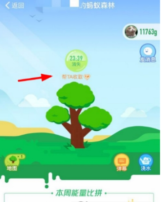 支付寶螞蟻森林怎么給好友澆水？給好友澆水方法分享
