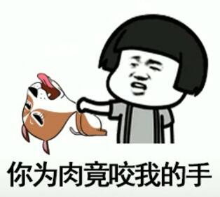 抖音我在那小區遛狗是什么歌？