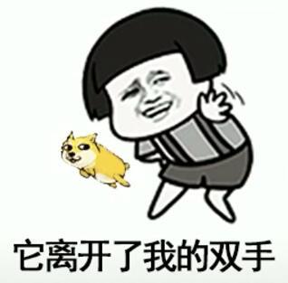 抖音我在那小區遛狗是什么歌？