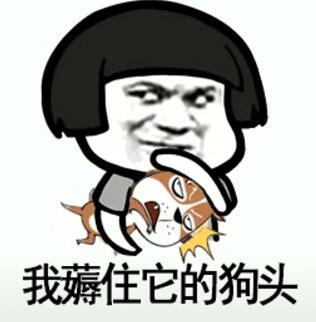 抖音我在那小區遛狗是什么歌？