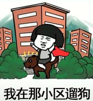 抖音我在那小區遛狗是什么歌？