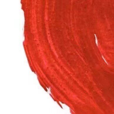 抖音現(xiàn)在我的眼里只有錢九宮格圖片分享