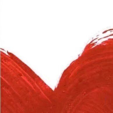 抖音現(xiàn)在我的眼里只有錢九宮格圖片分享