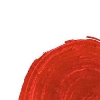 抖音現(xiàn)在我的眼里只有錢九宮格圖片分享