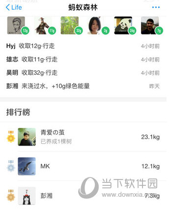 支付寶螞蟻森林怎么自動收能量 自動收取能量方法