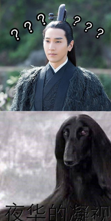 抖音馬思純的微笑什么梗?評論哈哈出現馬思純的微笑什么意思?