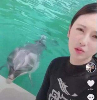 抖音海豚女神是誰?海豚女神個人資料id一覽