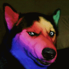 【抖音超火閃瞎眼GIF表情包】全套無水印分享