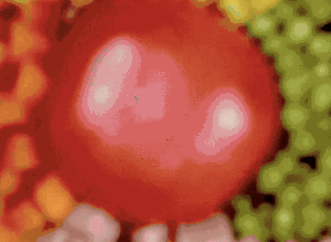 抖音網紅飯圖片 網紅飯做法步驟圖