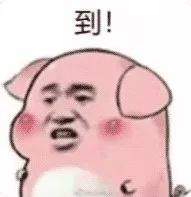 【抖音熱門豬圈GIF表情包】全套高清無水印分享