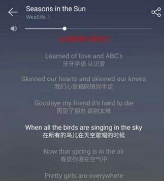 網易云音樂英文歌如何顯示中文【歌詞翻譯】