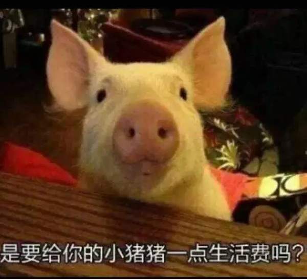 【抖音請選擇扶貧方式表情包】高清無水印圖片分享