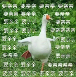 【抖音網紅比心鴨子表情包】比心鴨子高清無水印圖片分享