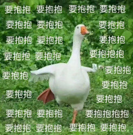 【抖音網紅比心鴨子表情包】比心鴨子高清無水印圖片分享