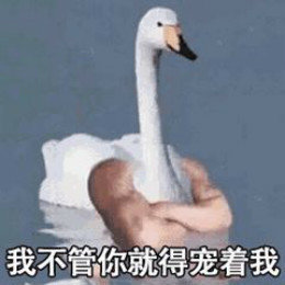 【抖音網紅比心鴨子表情包】比心鴨子高清無水印圖片分享