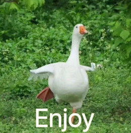 【抖音網紅比心鴨子表情包】比心鴨子高清無水印圖片分享