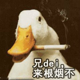 【抖音網紅比心鴨子表情包】比心鴨子高清無水印圖片分享